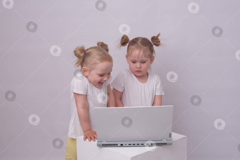 Скачать Девочки близнецы смотрят на экран ноутбука фотосток Ozero