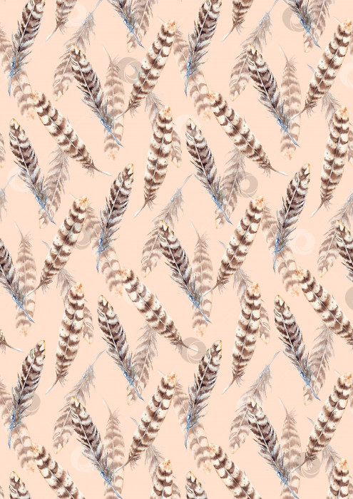 Скачать Акварель коричнево-бежевая полоса, текстура фона из перьев фотосток Ozero