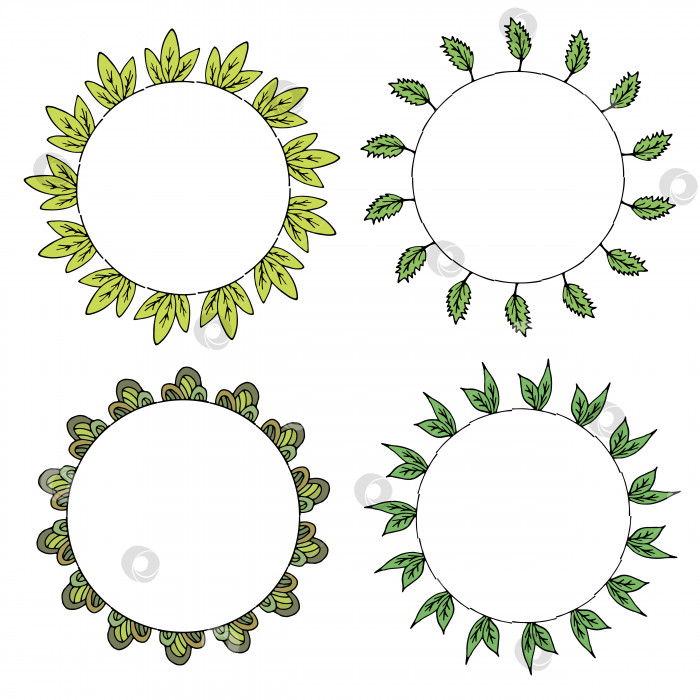 Скачать Четыре круглые рамки с растительными элементами и зелеными листьями. Изолированные венки на белом фоне для вашего дизайна фотосток Ozero
