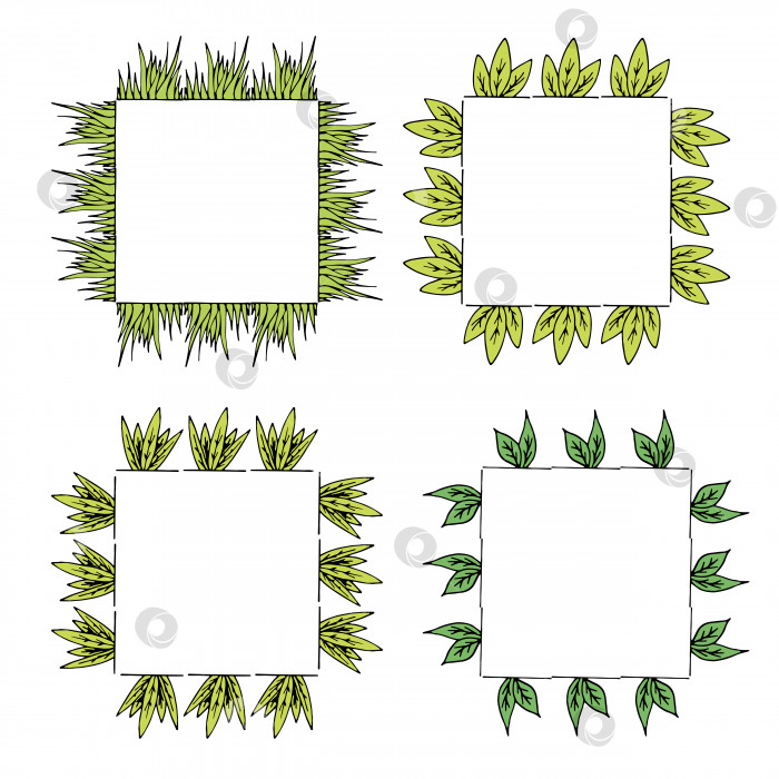 Скачать Четыре квадратные рамки с зеленой травой и листьями. Изолированные рамки на белом фоне для вашего дизайна фотосток Ozero