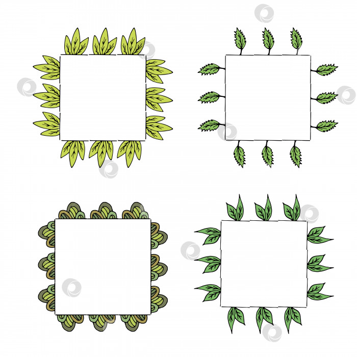 Скачать Четыре квадратные рамки с растительными элементами и зелеными листьями. Изолированные рамки на белом фоне для вашего дизайна фотосток Ozero