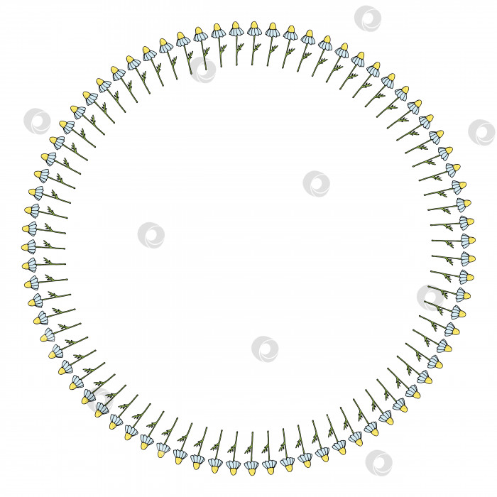 Скачать Круглая рамка с ромашкой на белом фоне. Изолированная цветочная рамка для вашего дизайна. Векторное изображение. фотосток Ozero
