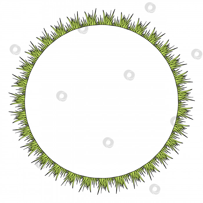 Скачать Круглая рамка с зеленой травой. Изолированный венок на белом фоне для вашего дизайна фотосток Ozero