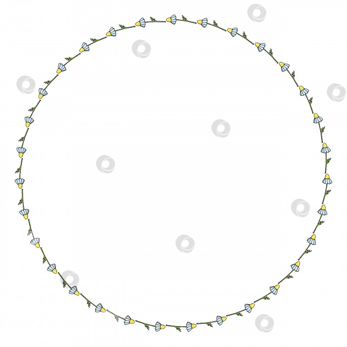 Скачать Круглая рамка с горизонтальной ромашкой на белом фоне. Изолированная цветочная рамка для вашего дизайна. Векторное изображение. фотосток Ozero