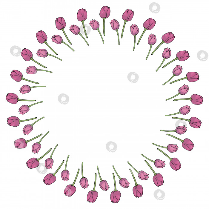Скачать Круглая рамка с вертикальными ярко-розовыми тюльпанами на белом фоне. Изолированная рамка из цветов для вашего дизайна. фотосток Ozero