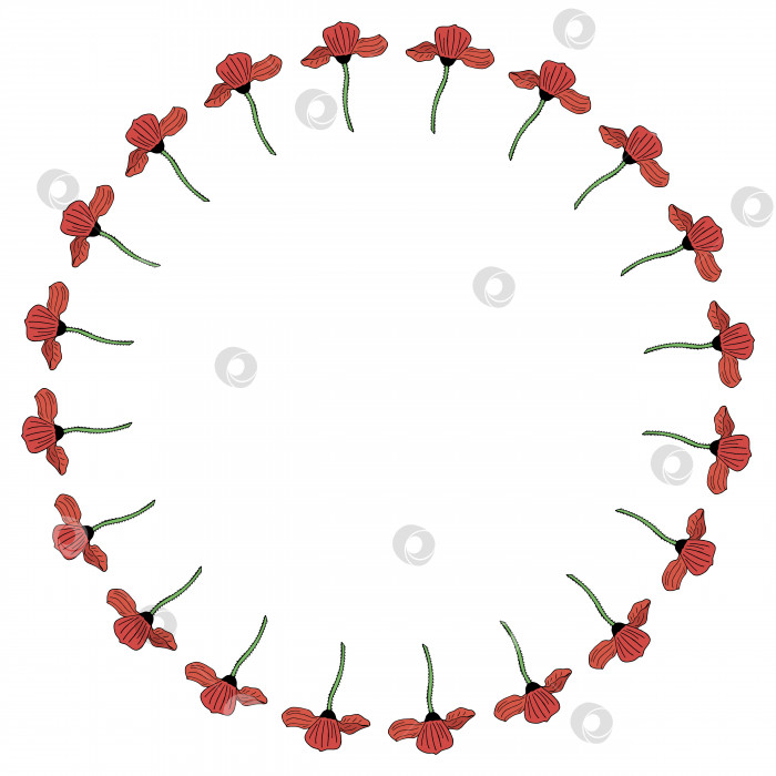 Скачать Круглая рамка с вертикальным красным маком. Изолированный венок с цветами на белом фоне. Векторное изображение. фотосток Ozero