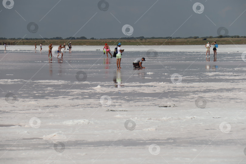 Скачать Туристы на соленом озере Бурсоль в Алтайском крае фотосток Ozero