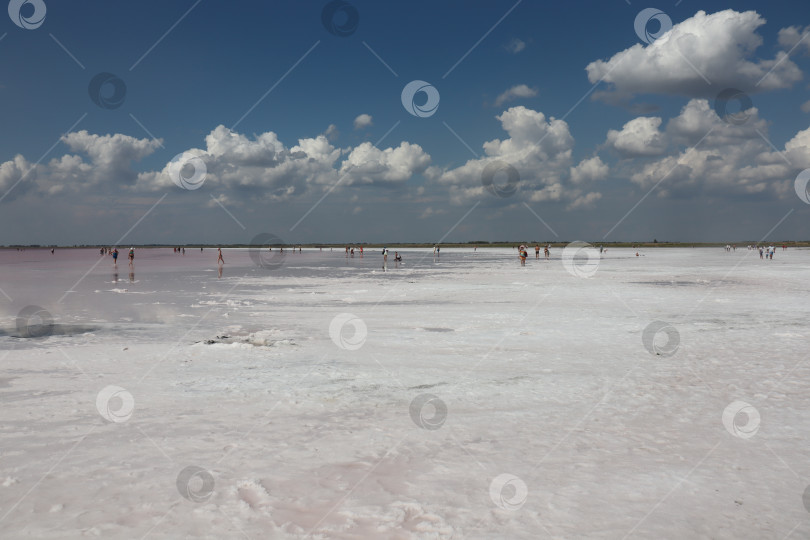 Скачать Берег соленого озера Бурсоль в Алтайском крае фотосток Ozero