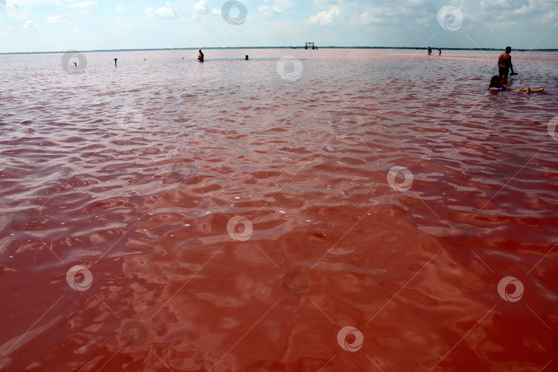 Скачать Малиновая вода в соленом озере фотосток Ozero