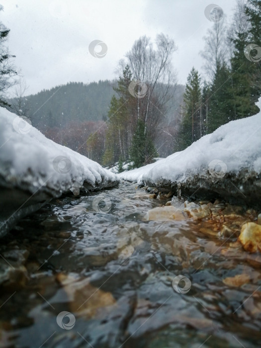 Скачать Весенний ручей фотосток Ozero