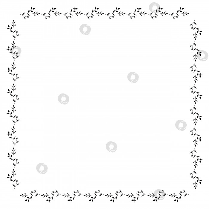 Скачать Квадратная рамка с черными и белыми ветвями. Изолированный венок на белом фоне для вашего дизайна фотосток Ozero