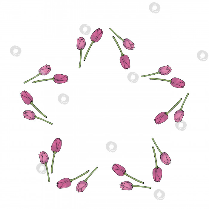 Скачать Звездная рамка с ярко-розовыми тюльпанами на белом фоне. Изолированная рамка из цветов для вашего дизайна. фотосток Ozero