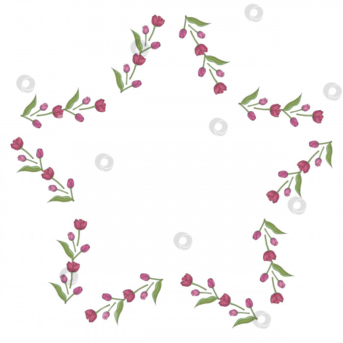 Скачать Звездная рамка с прекрасными розовыми тюльпанами на белом фоне. Изолированная рамка из цветов для вашего дизайна. фотосток Ozero