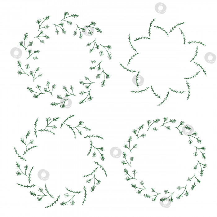 Скачать Четыре круглые рамки, сделанные из еловых и сосновых веток и веток рождественской елки. Венки на белом фоне для вашего дизайна фотосток Ozero