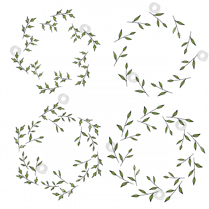 Скачать Четыре круглые рамки, сделанные из зеленых веток. Венки на белом фоне для вашего дизайна фотосток Ozero