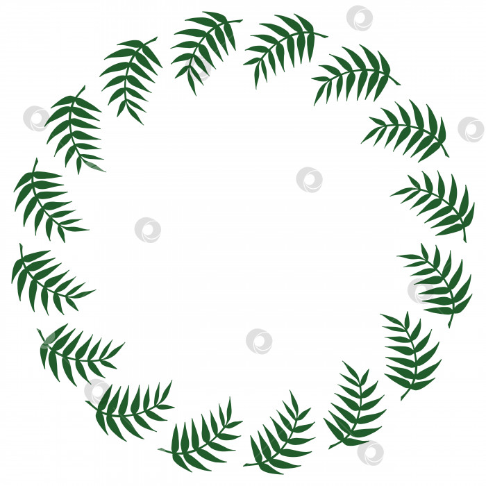 Скачать Круглая рамка с зелеными ветвями на белом фоне. Векторное изображение. Изолированный венок для вашего дизайна. фотосток Ozero