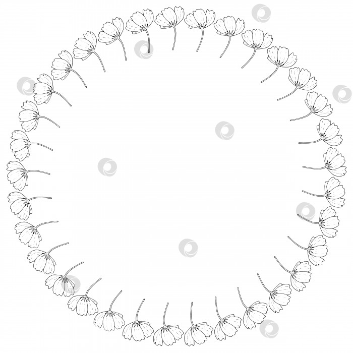 Скачать Круглая рамка с маленькими вертикальными черно-белыми космическими цветами на белом фоне. Изолированная цветочная рамка для вашего дизайна. Векторное изображение. фотосток Ozero