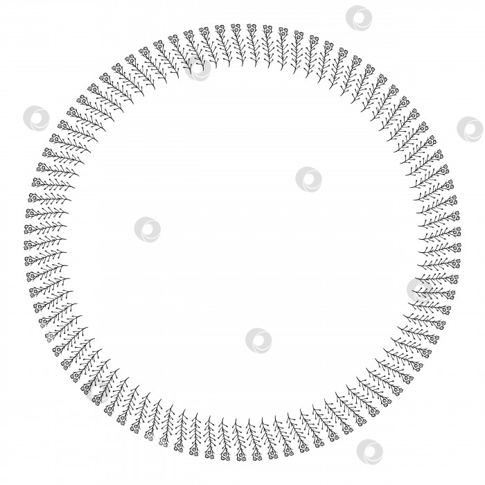 Скачать Круглая рамка с вертикальными черно-белыми луговыми растениями на белом фоне. Изолированная цветочная рамка для вашего дизайна. Векторное изображение. фотосток Ozero