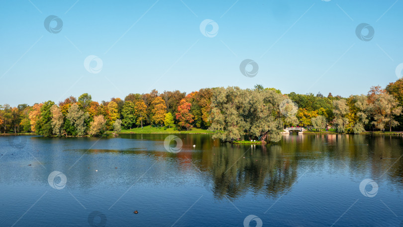 Скачать Красивый панорамный осенний пейзаж с яркими деревьями на берегу озера фотосток Ozero