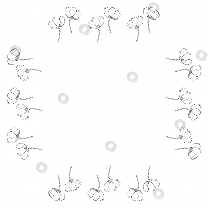 Скачать Квадратная рамка с черно-белыми космическими цветами на белом фоне. Изолированная цветочная рамка для вашего дизайна. Векторное изображение. фотосток Ozero