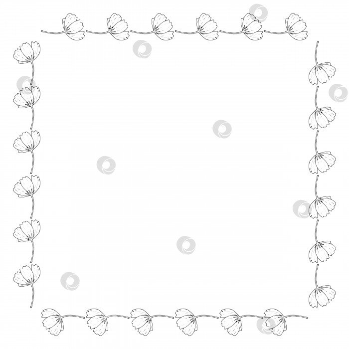 Скачать Квадратная рамка с маленькими горизонтальными черно-белыми космическими цветами на белом фоне. Изолированная цветочная рамка для вашего дизайна. Векторное изображение. фотосток Ozero