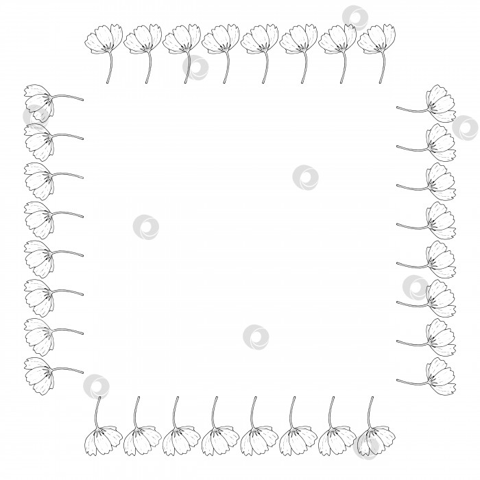 Скачать Квадратная рамка с маленькими вертикальными черно-белыми космическими цветами на белом фоне. Изолированная цветочная рамка для вашего дизайна. Векторное изображение. фотосток Ozero