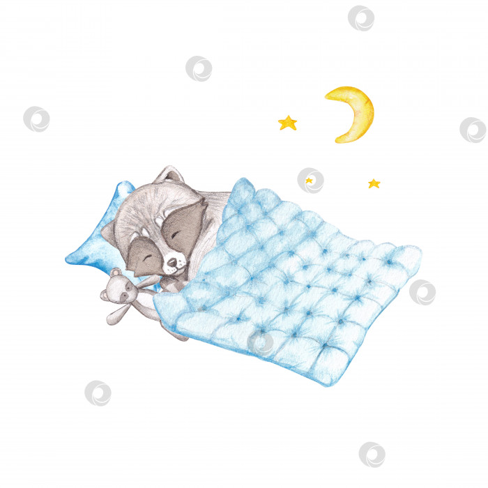 Скачать Милый енот спит в одеяле с акварельной игрушкой на белом фоне. Детская акварельная иллюстрация. Детский принт с лесными животными. Дизайн поздравительных открыток, открытки, флешка и многое другое фотосток Ozero