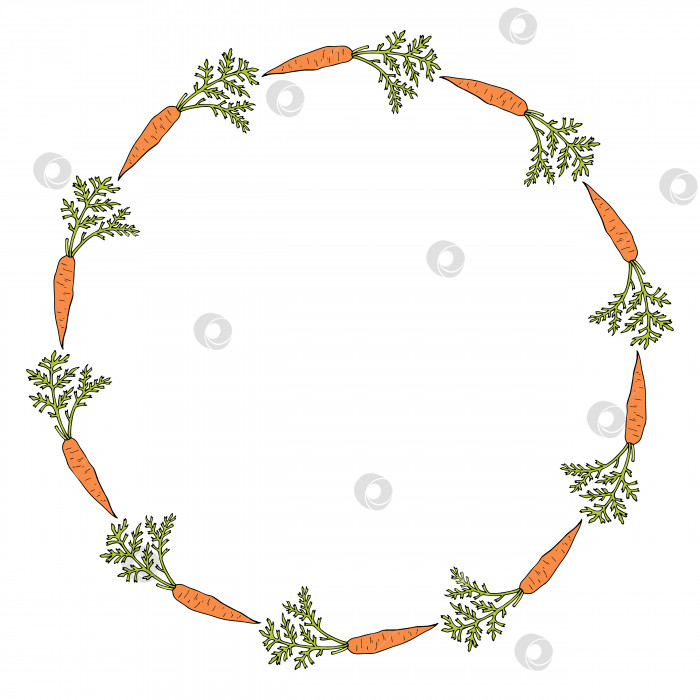 Скачать Круглая рамка с горизонтальной морковью. Изолированный венок на белом фоне для вашего дизайна фотосток Ozero