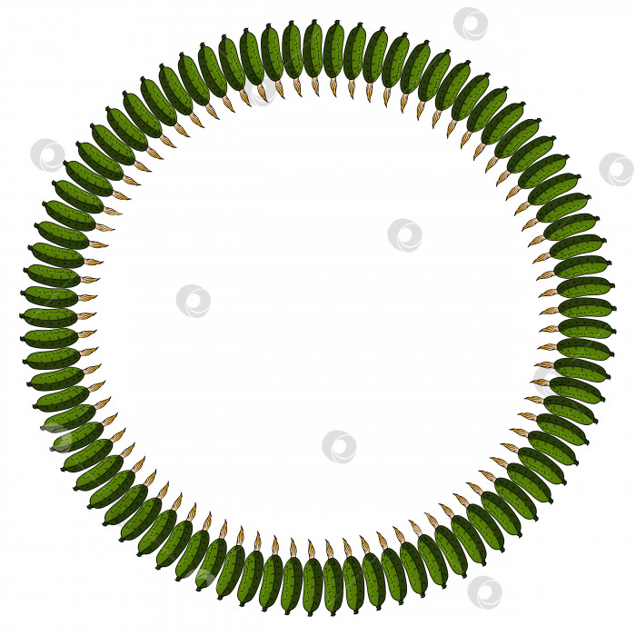 Скачать Круглая рамка с вертикальным векторным огурцом. Изолированный венок на белом фоне для вашего дизайна фотосток Ozero