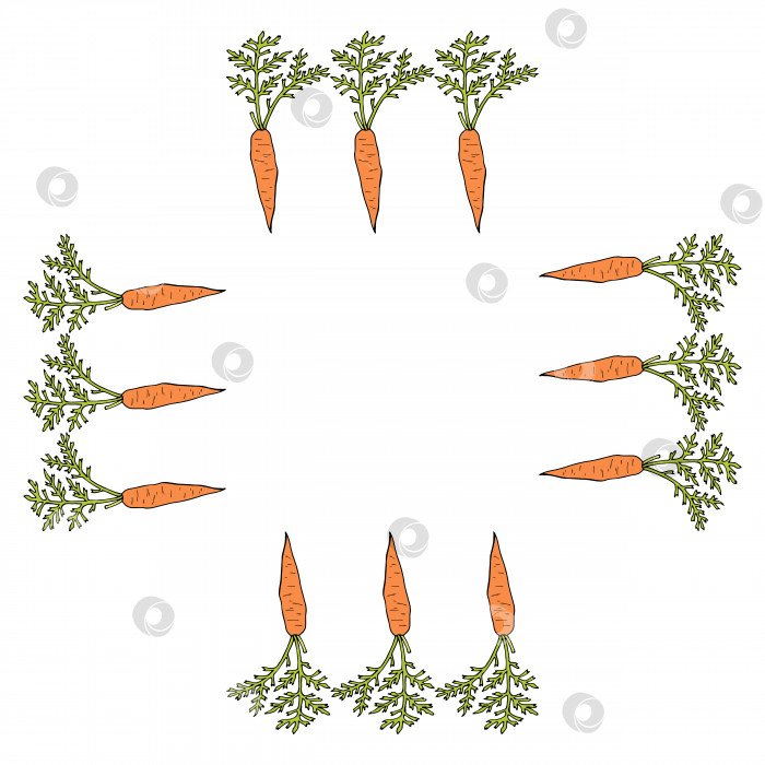 Скачать Квадратная рамка с вертикальной морковью. Изолированный венок на белом фоне для вашего дизайна фотосток Ozero