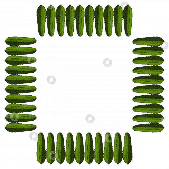Скачать Квадратная рамка с вертикальным огурцом. Изолированный венок на белом фоне для вашего дизайна фотосток Ozero