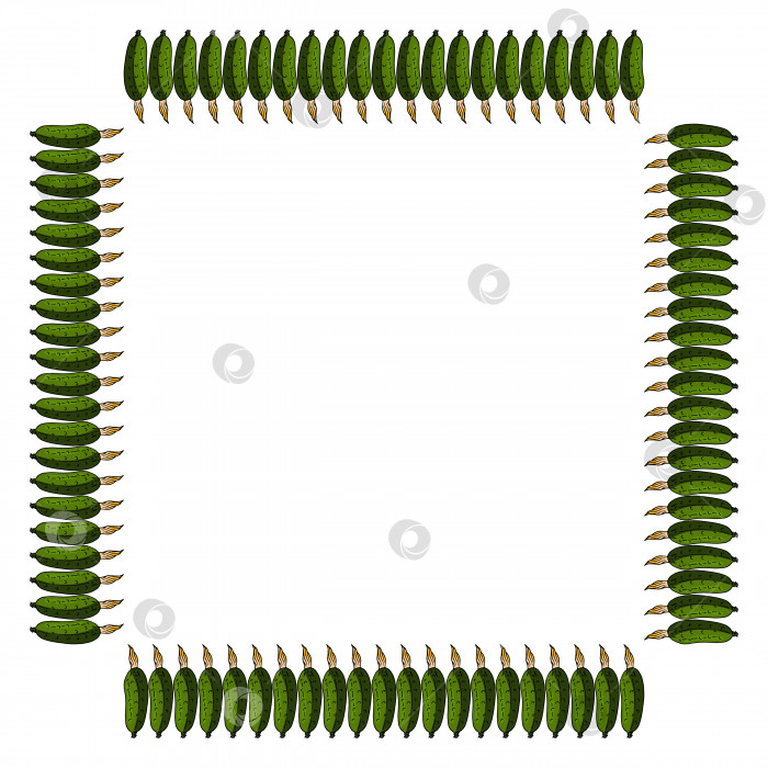 Скачать Квадратная рамка с вертикальным векторным огурцом. Изолированный венок на белом фоне для вашего дизайна фотосток Ozero