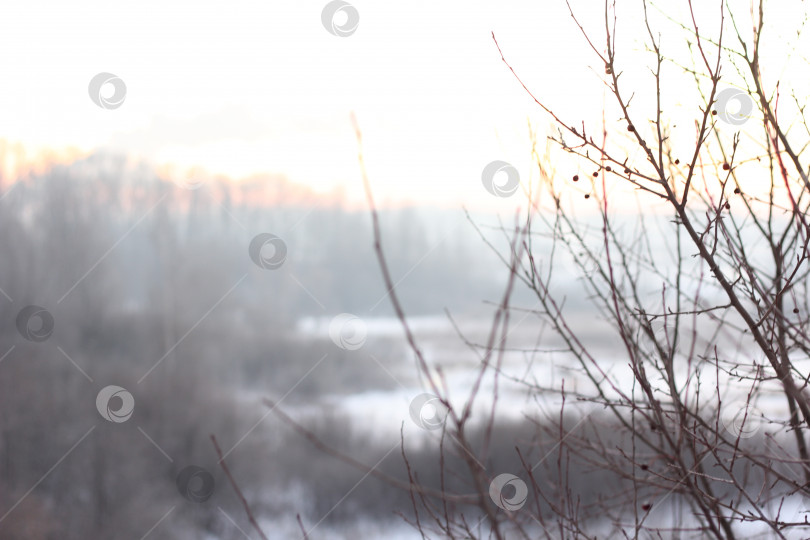 Скачать Зимний пейзаж фотосток Ozero