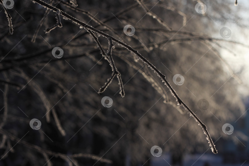 Скачать Зимний пейзаж фотосток Ozero