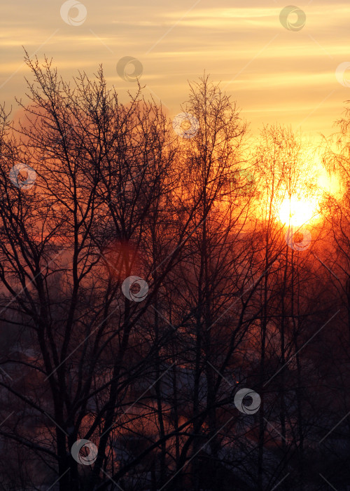Скачать Вид на рассветное солнце фотосток Ozero