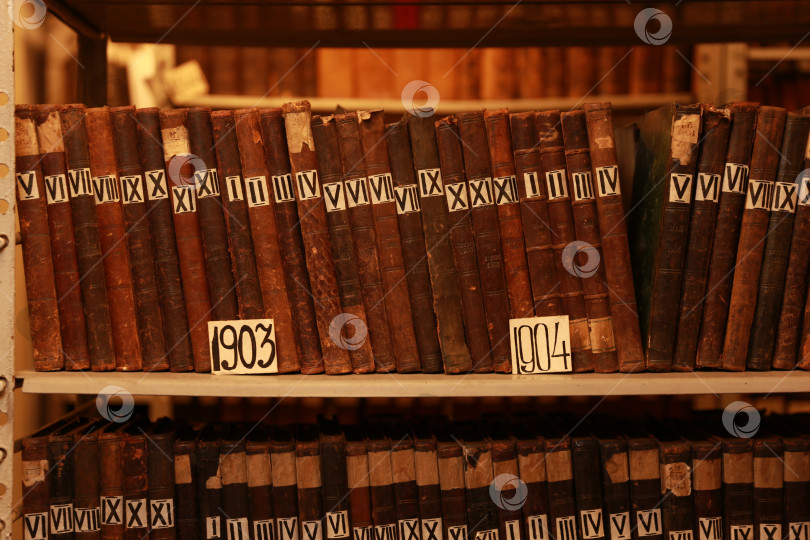 Скачать Полка с книгами фотосток Ozero