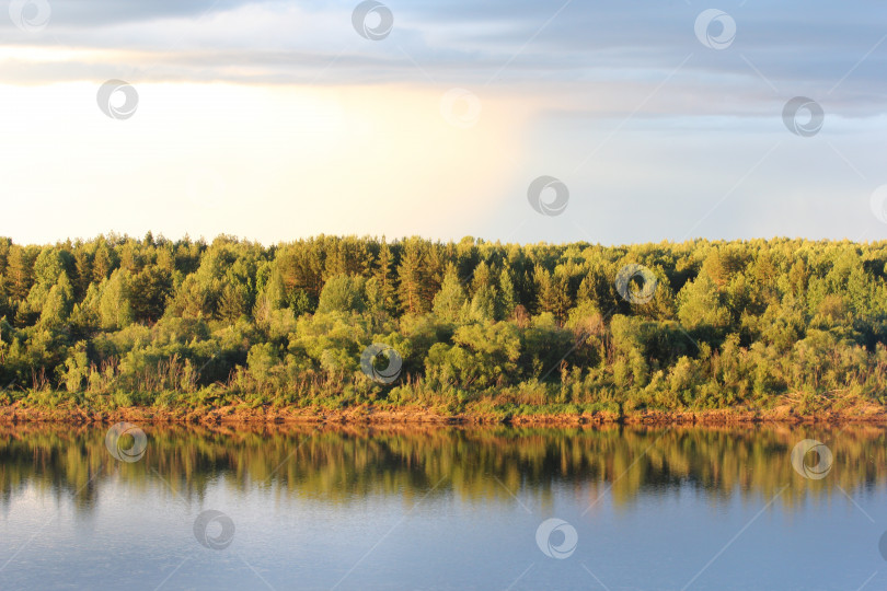 Скачать вид на реку и лес фотосток Ozero