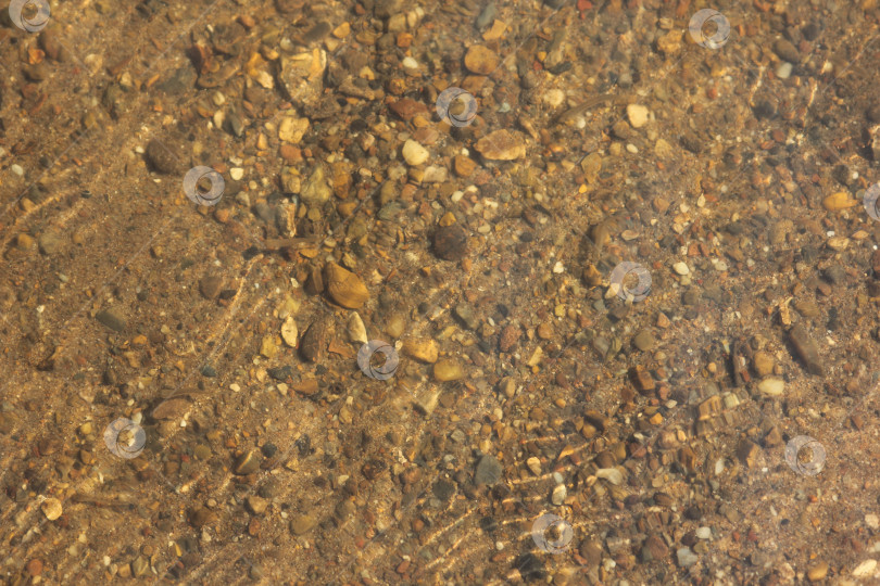 Скачать Камни под водой фотосток Ozero