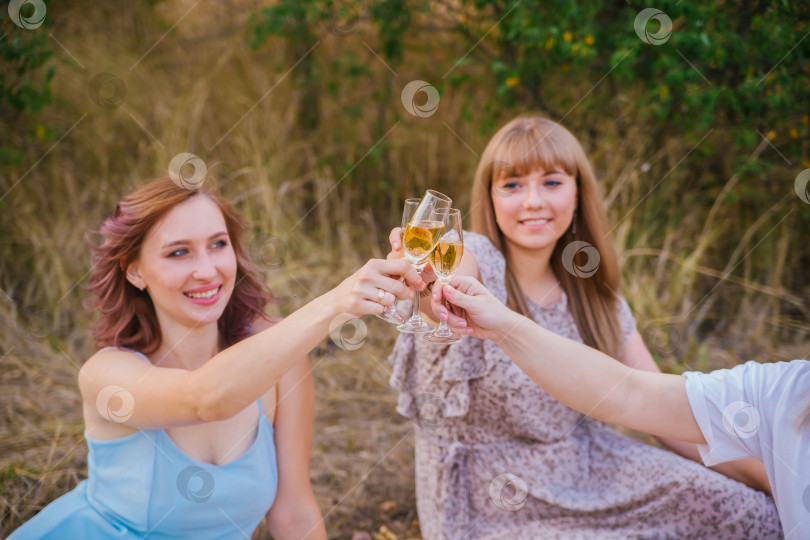 Скачать Женщины чокаются бокалами с белым вином или шампанским на вечеринке на открытом воздухе. Женские руки держат прозрачные бокалы с алкогольным напитком на пикнике.Веселая компания девушек, девичник. фотосток Ozero