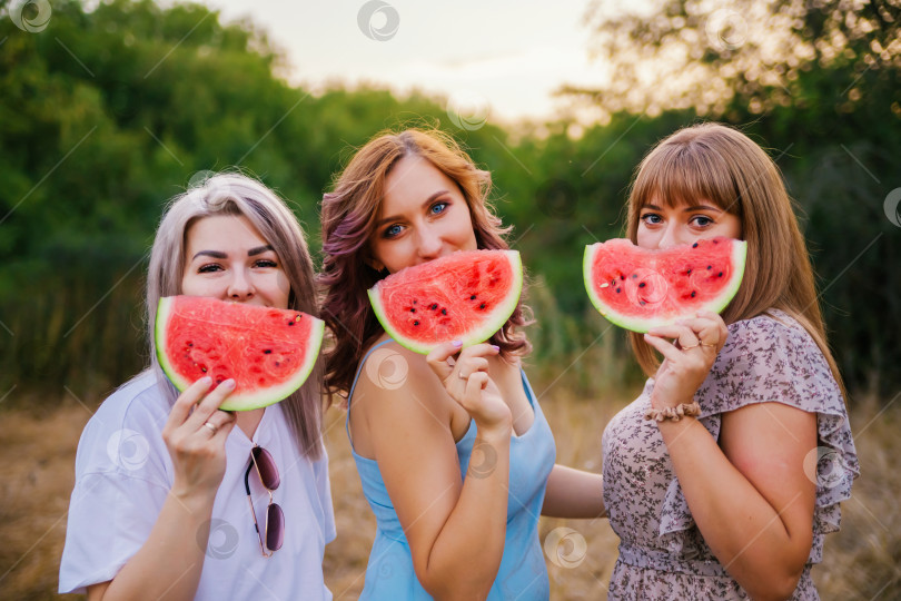 Скачать Счастливые молодые женщины держат ломтики арбуза на открытом воздухе. Ярко-красная ягода. Сочная, сладкая закуска летом на пикнике. фотосток Ozero