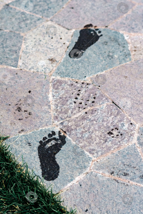 Скачать Мокрые следы на каменной плитке крупным планом фотосток Ozero