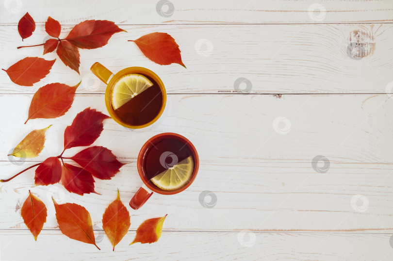 Скачать Светлый деревянный фон с осенними листьями девичьего винограда, плющом и двумя чашками чая с лимоном. фотосток Ozero