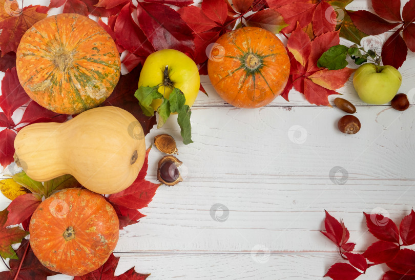 Скачать Пищевой фон из ярких красивых осенних листьев, маленьких спелых тыкв и яблок. фотосток Ozero