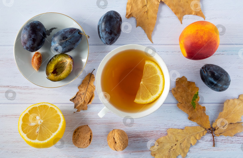 Скачать Осенний фон из сухих листьев с белой фарфоровой чашкой с чаем, лимоном, спелыми сливами и нектаринами, грецкими орехами. фотосток Ozero