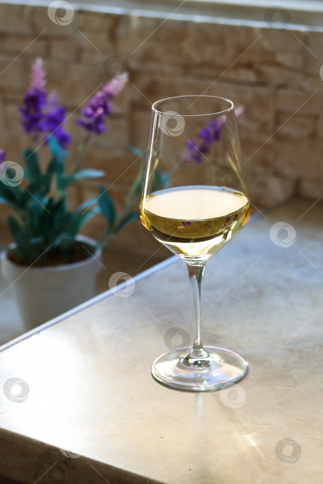 Скачать Бокал белого вина на кухонном столе перед окном с фиолетовым цветком на обратной стороне в солнечный день. Крупный план сверкающего бокала белого вина на столе с местом для копирования фотосток Ozero