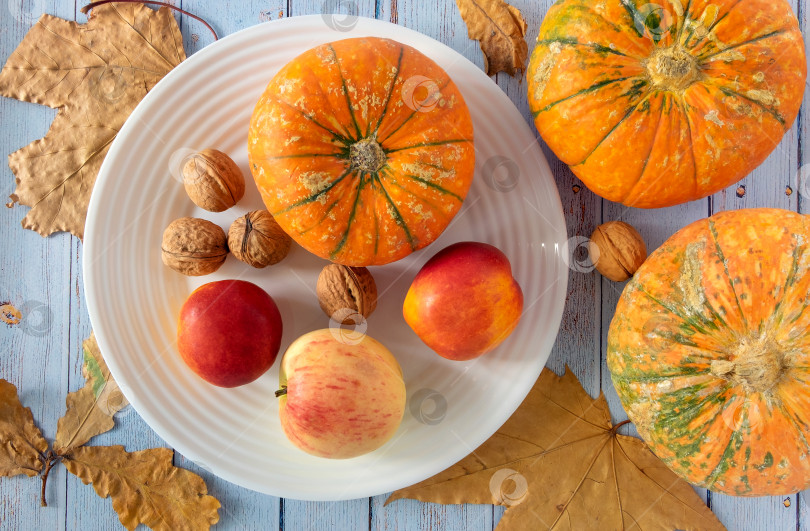 Скачать Осенний фон из сухих листьев на белой фарфоровой тарелке, маленькие красивые тыквы, сезонные фрукты, грецкие орехи. фотосток Ozero