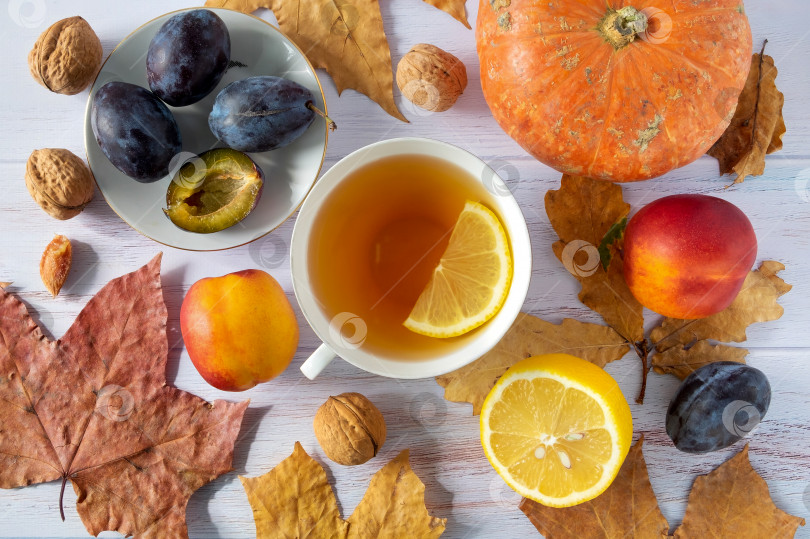 Скачать Осенний фон из сухих листьев с белой фарфоровой чашкой с чаем, маленькой красивой тыквой, лимоном, спелыми сливами и нектаринами, грецкими орехами. фотосток Ozero