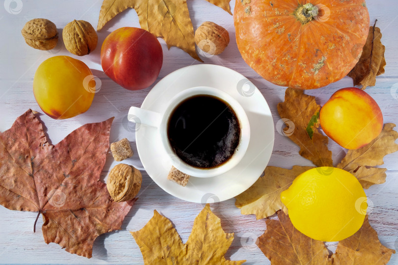 Скачать Осенний фон из сухих листьев с белой фарфоровой чашкой кофе, маленькой красивой тыквой, лимоном, спелыми нектаринами и грецкими орехами. фотосток Ozero