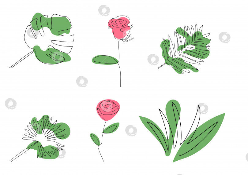 Скачать Линейный художественный набор растений-ловушек с цветовыми пятнами фотосток Ozero