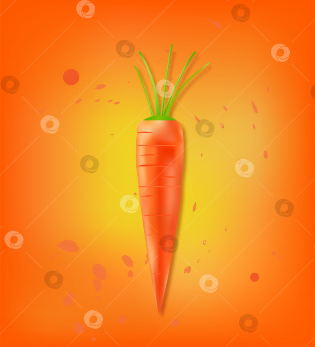Скачать Вкусная сладкая оранжевая морковь на ярко-оранжевом фоне с различными пятнами соуса фотосток Ozero
